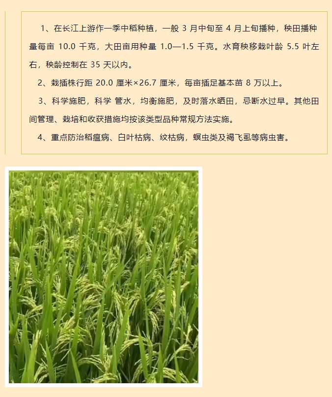 微信截圖_20250319091854.png